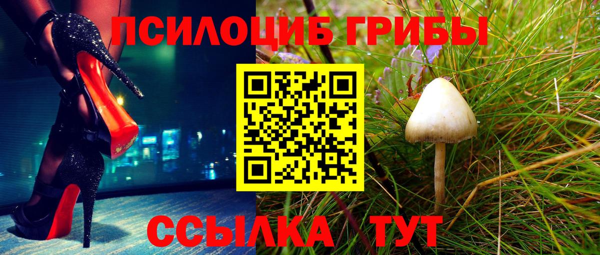 Псилоцибиновые грибы MAGIC MUSHROOMS  Вход с VPN  Лесной 