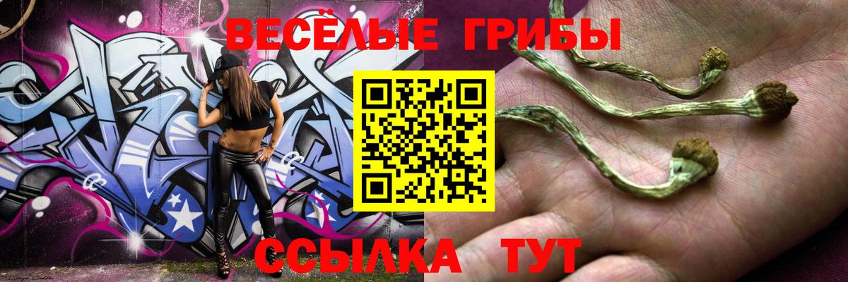 Псилоцибиновые грибы Psilocybe Лесной